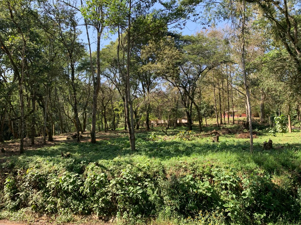 Terreno en Tlalnehuayocan
